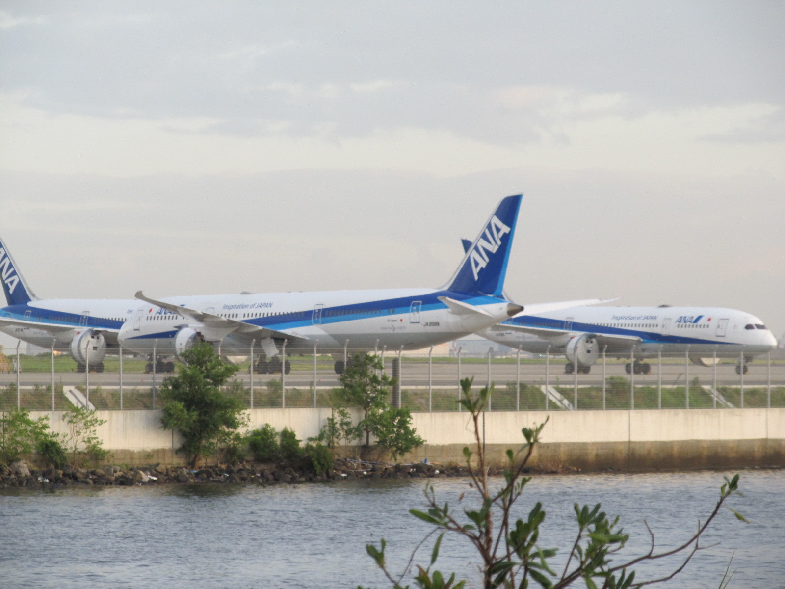 京浜島つばさ公園 忘れ去られた一級釣り場 羽田の隠れたシーバスポイントはこちら 東京近郊釣り場情報 アクセスマップ