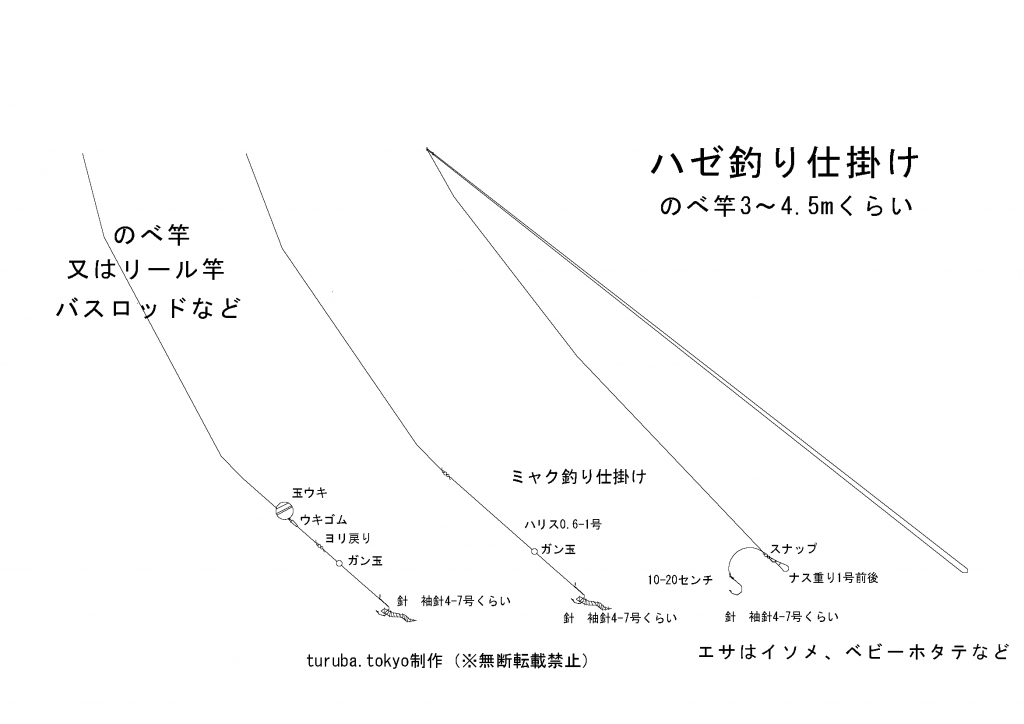豊洲ぐるり公園 突如 都会に出現した広大な釣り天国 東京近郊釣り場情報 アクセスマップ