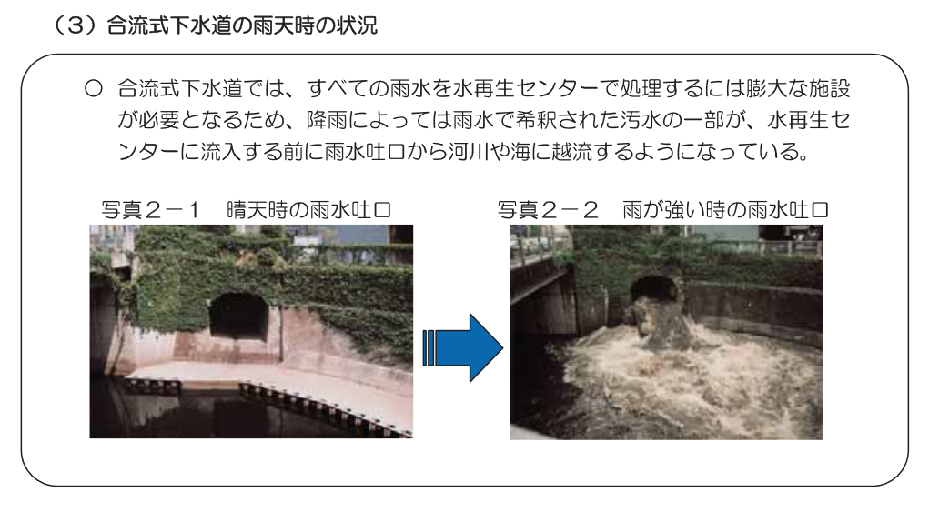 東京湾と河川の水質 釣った魚を食べてもよいか 東京近郊釣り場情報 アクセスマップ