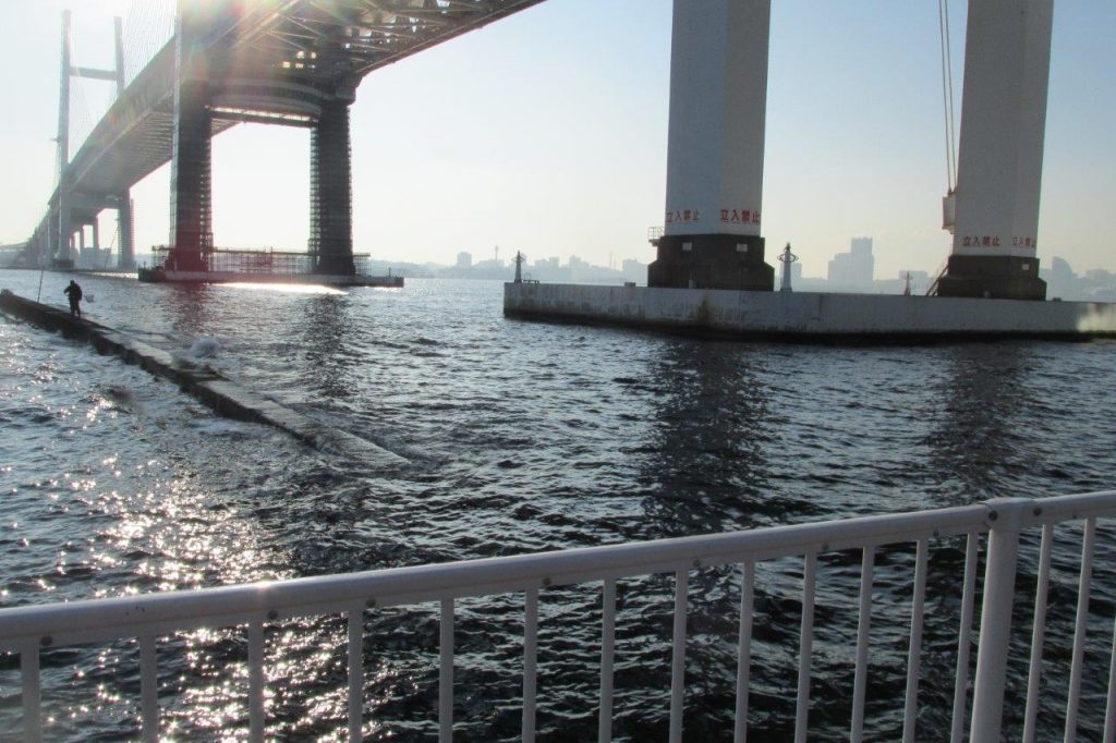 釣り 大黒ふ頭 大黒緑地公園：横浜港の絶景を臨みながら、釣りやバーベキューも [鶴見区]