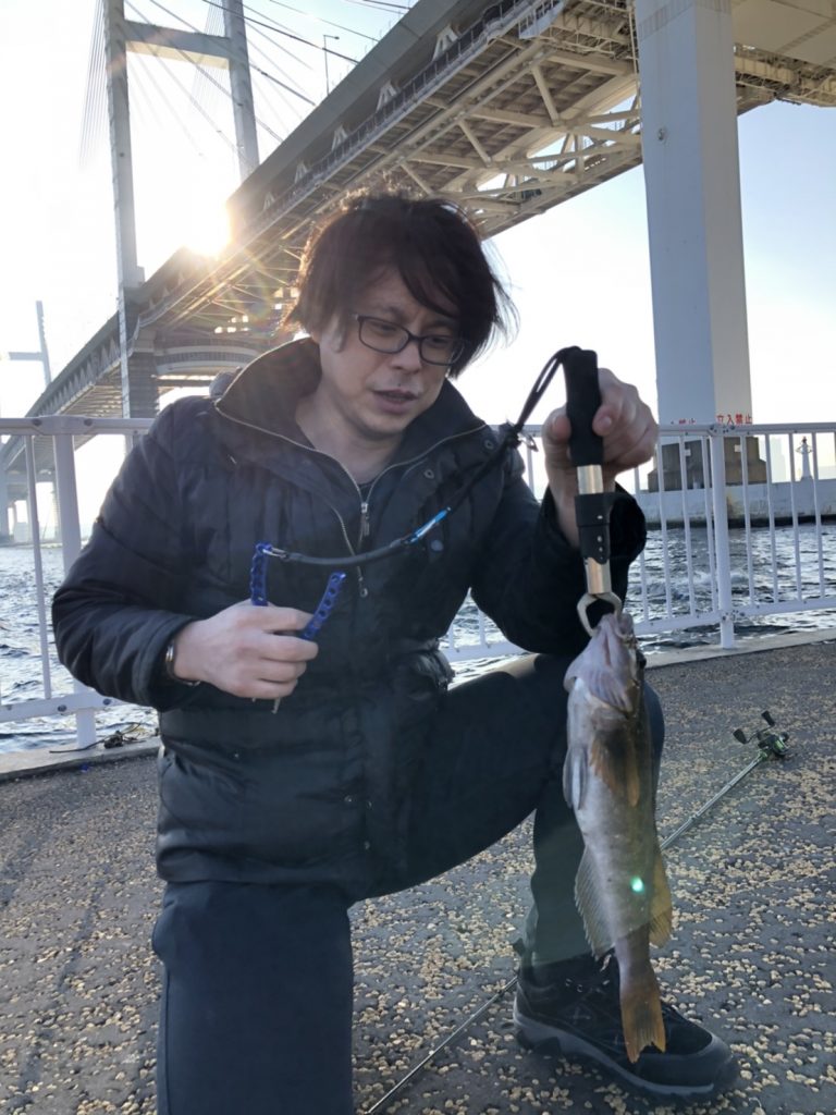 アイナメ