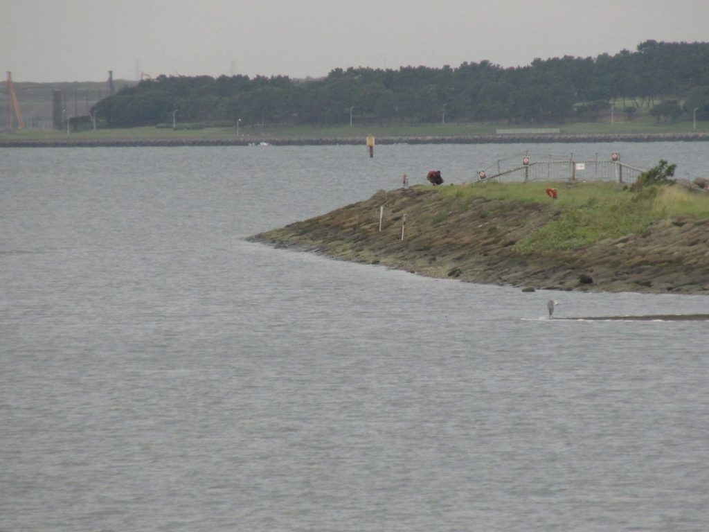 葛西臨海公園 西なぎさ 荒川 旧江戸川合流部 東京近郊釣り場情報 アクセスマップ