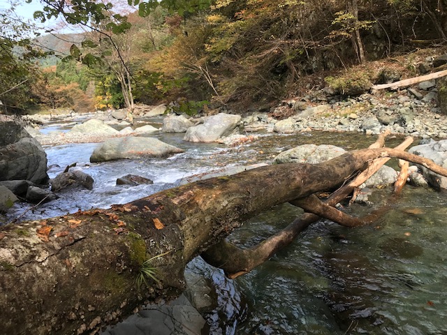 ベリーパーク In Fish On 鹿留 プチリゾート気分でキャンプや宿泊も 東京近郊釣り場情報 アクセスマップ