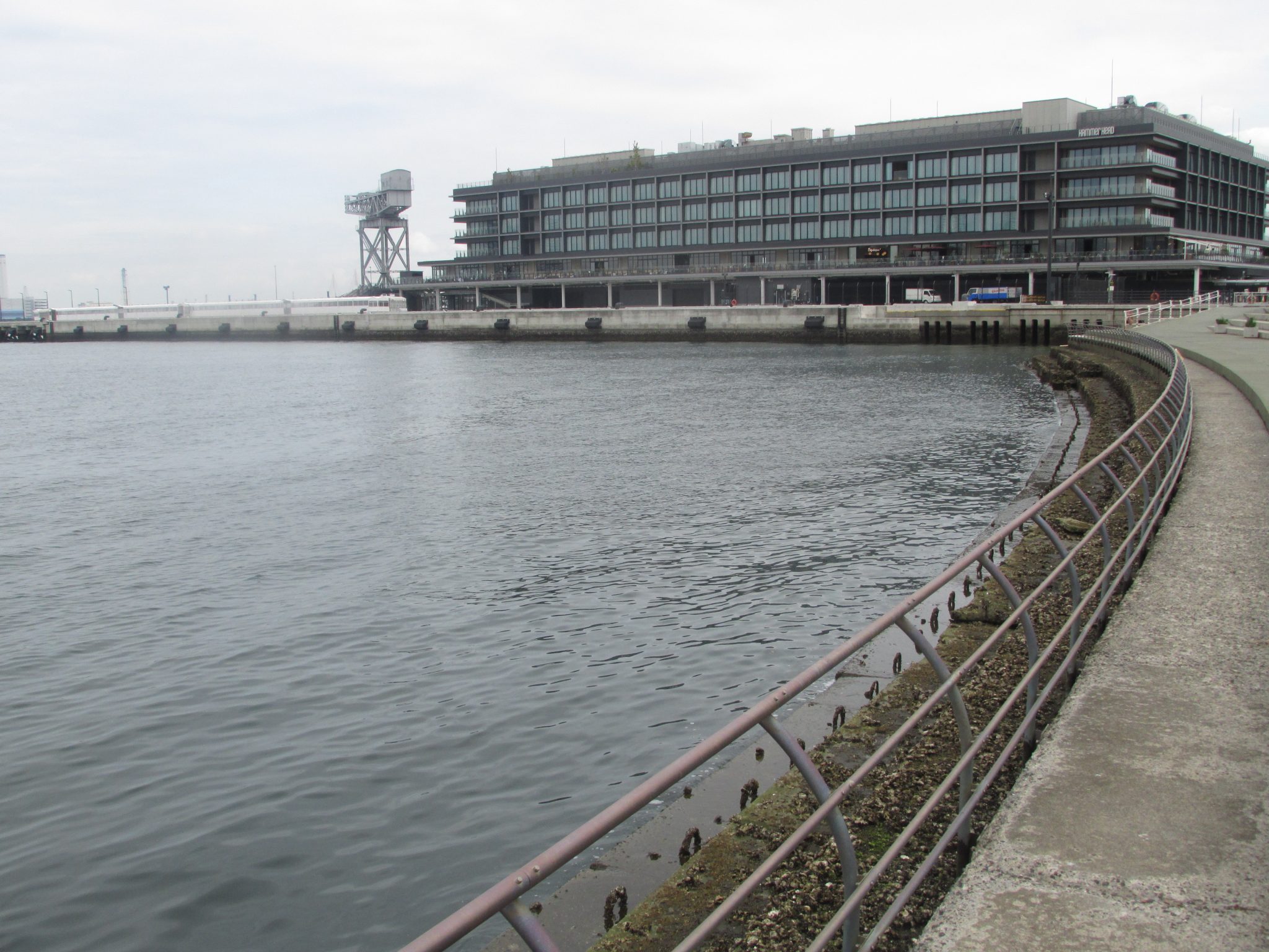 カップヌードルミュージアム前（新港パーク（開港パーク））｜横浜みなとみらいの釣り場③ 東京近郊釣り場情報 アクセスマップ